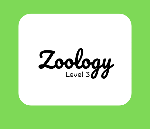 Zoology Level 3 Build Your Education